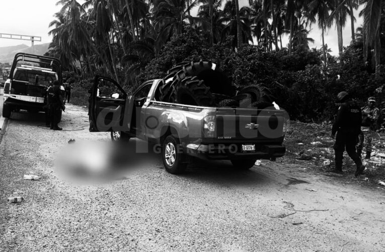 Matan a balazos a dos hombres en Coyuca de Benítez