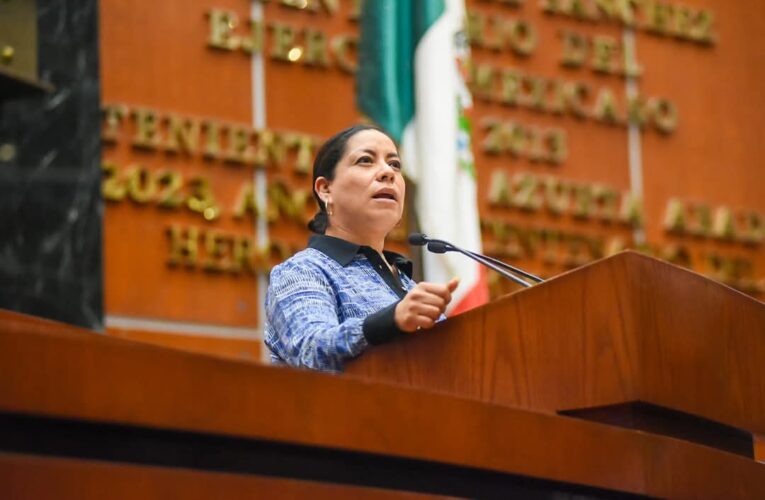 Llaman desde el Congreso local a atender plaga de chinches, pulgas y garrapatas en escuelas de Chilpancingo