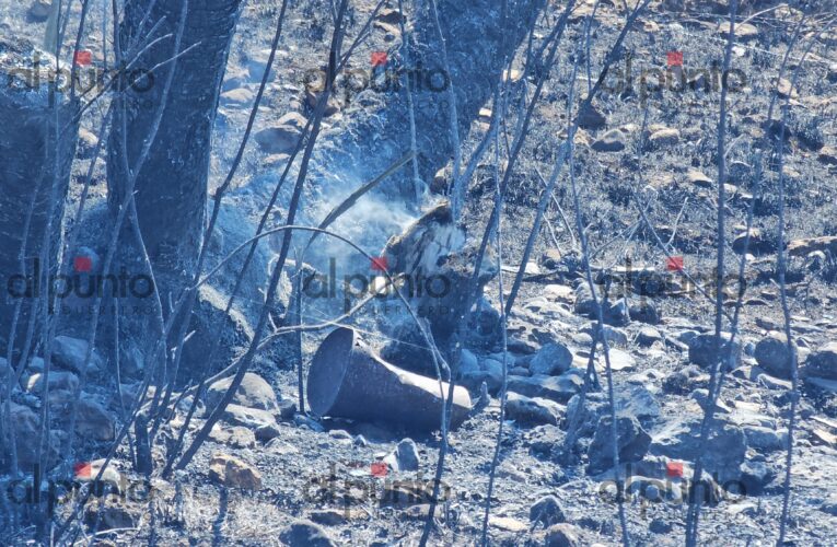 Petra y su hija de 2 años Salvaron de morir en el incendio de ayer en Chilpancingo