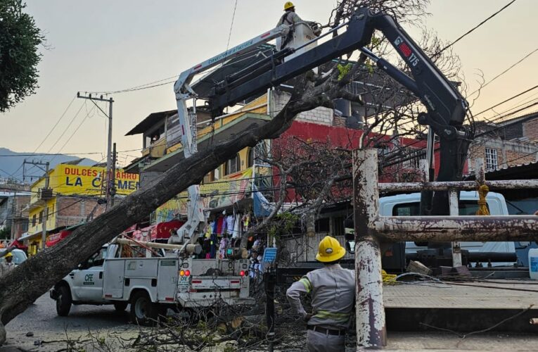 Más de 10 colonias se quedan sin luz por caída de un árbol en Chilpancingo.