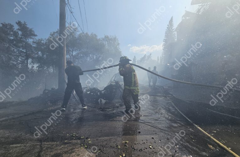 Animales, vehículos, viviendas calcinadas y familias evacuadas por incendio en Chilpancingo.