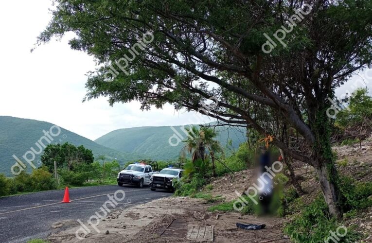 Dejan a hombre embolsado y colgado a un árbol, a orilla de la carretera Chilpancingo-Chichihualco