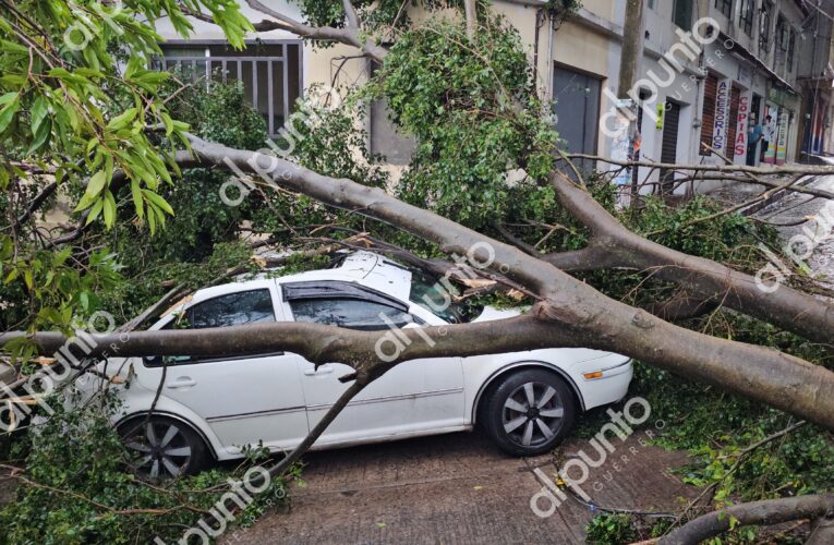 Fuerte tromba y granizada provoca caída de árboles, techos e inundaciones en Chilpancingo