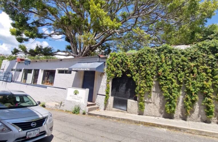 Denuncian intento de derribo de árbol centenario en Chilpancingo