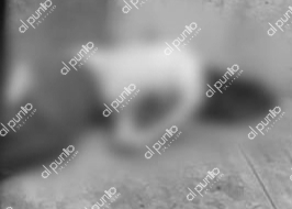 Hallan asesinado a Napoleón Rodríguez Campos, en Tixtla