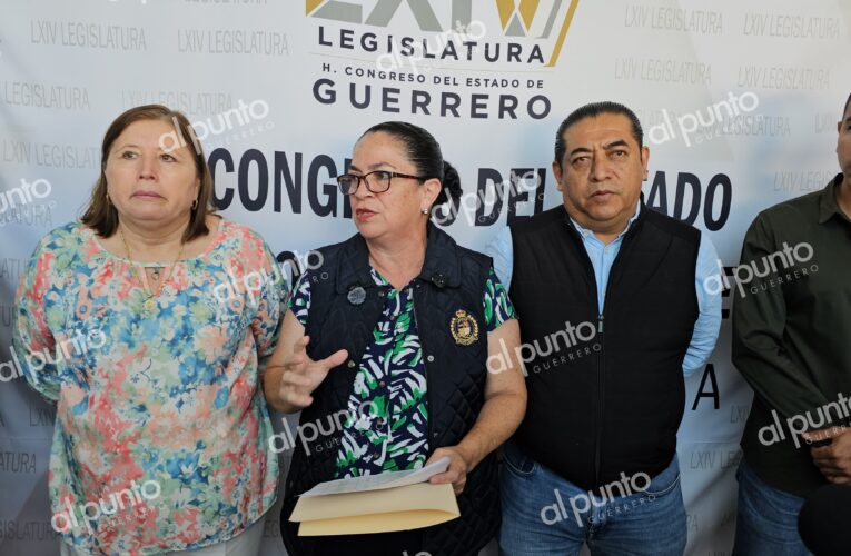 Tres alcaldes de Guerrero pidieron reforzar su seguridad y se la negaron, revela diputada Pilar Vadillo