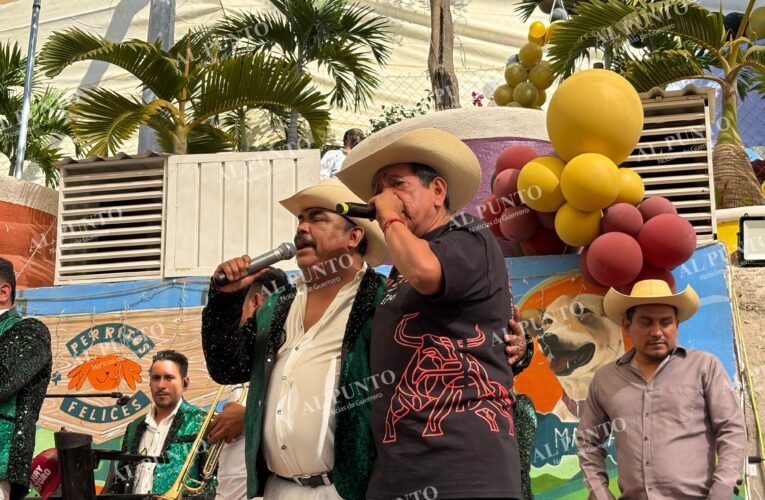 Morena postulará a un hombre a la gubernatura de Guerrero en 2027, asegura Félix Salgado