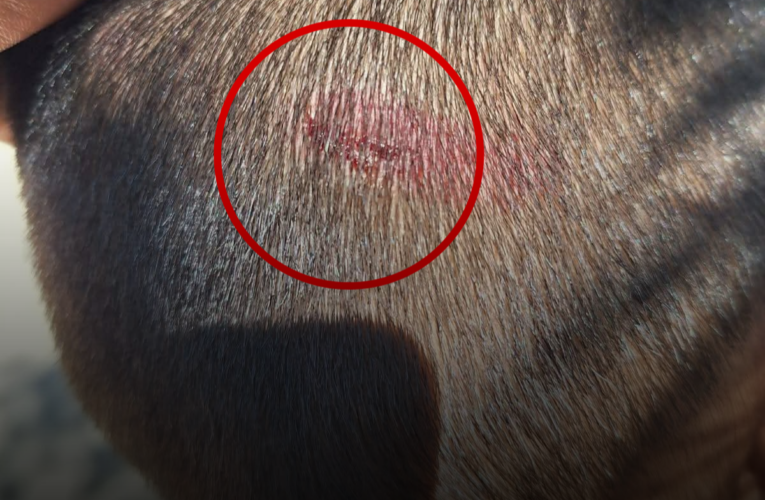 Denuncian presuntas agresiones contra menor en primaria de Zacualpan, Ometepec