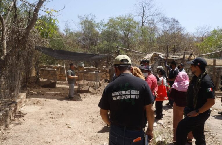 Investigan restos óseos de 2014 hallados en funeraria de Iguala por posible conexión con los 43