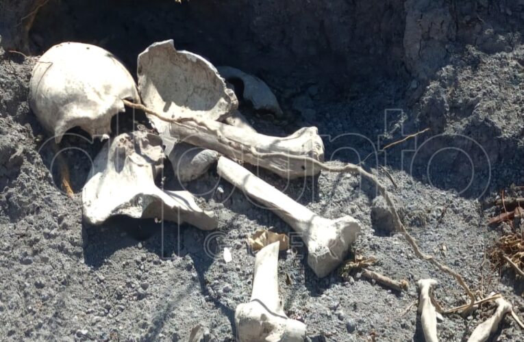 Colectivo halla restos óseos en El Palmar, municipio de Eduardo Neri