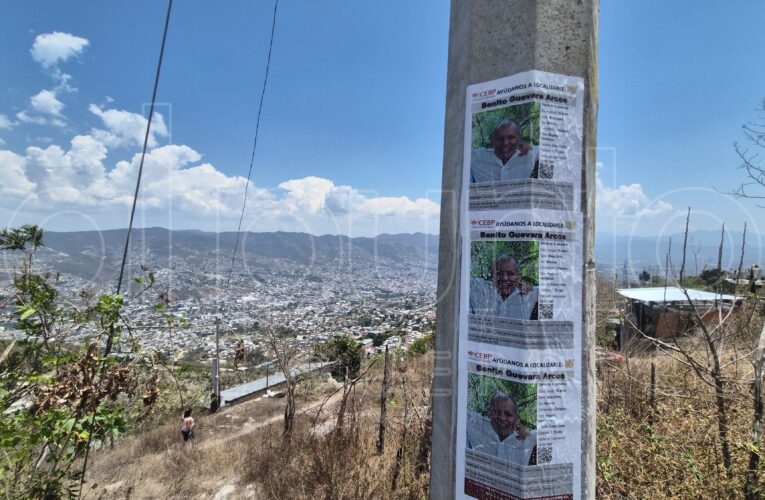 Despliegan búsqueda por pastor desaparecido en la sierra de Chilpancingo