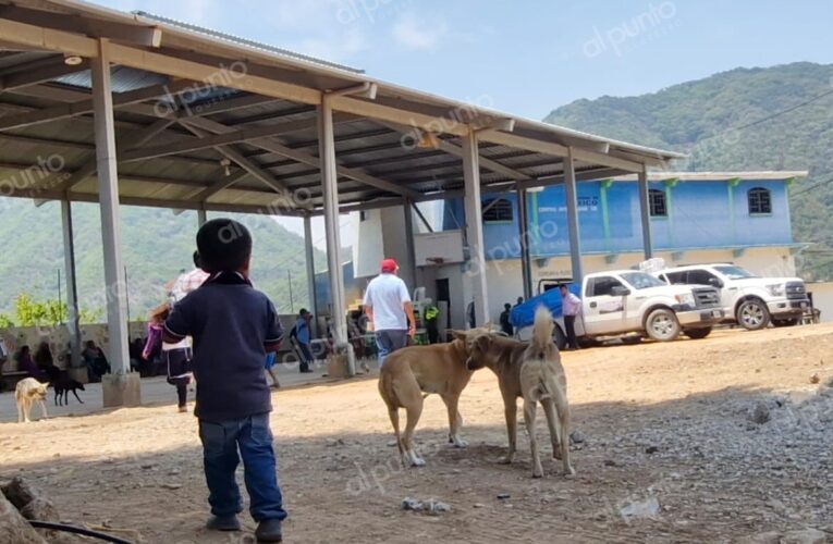 10 niños quedaron en la orfandad tras incursiones armadas en comunidades de Chilapa
