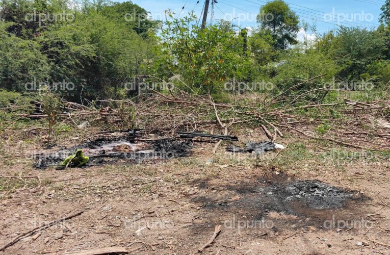 Hallan a hombre decapitado, mutilado y calcinado en Iguala de la Independencia