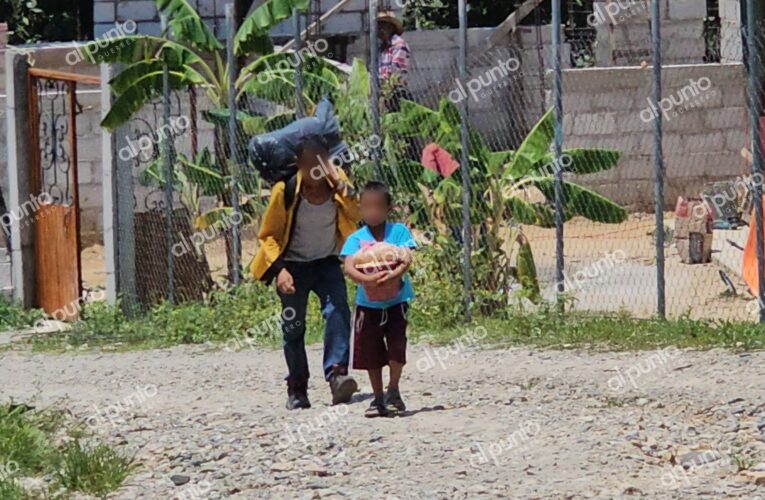 Más de 100 familias huyen de la sierra de Chilpancingo por temor a la violencia