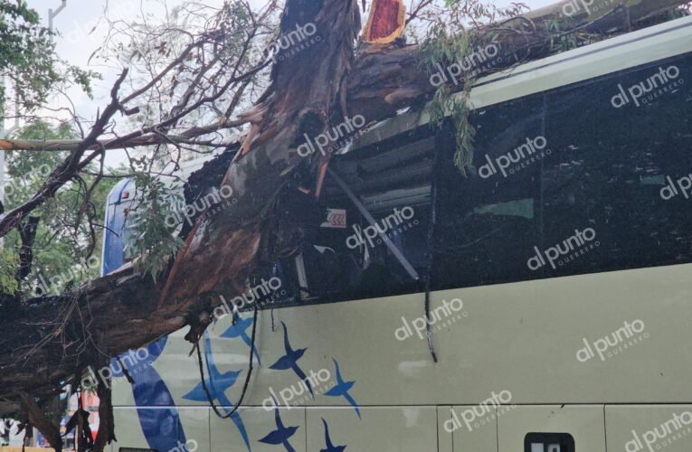 Cae árbol sobre autobús y deja tres pasajeros heridos en Chilpancingo