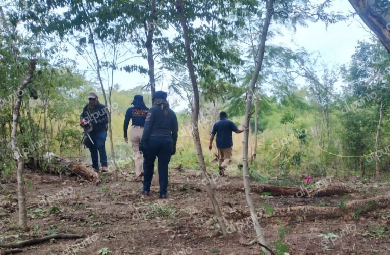 Localizan más indicios de posibles restos humanos en El Arenal, Acapulco