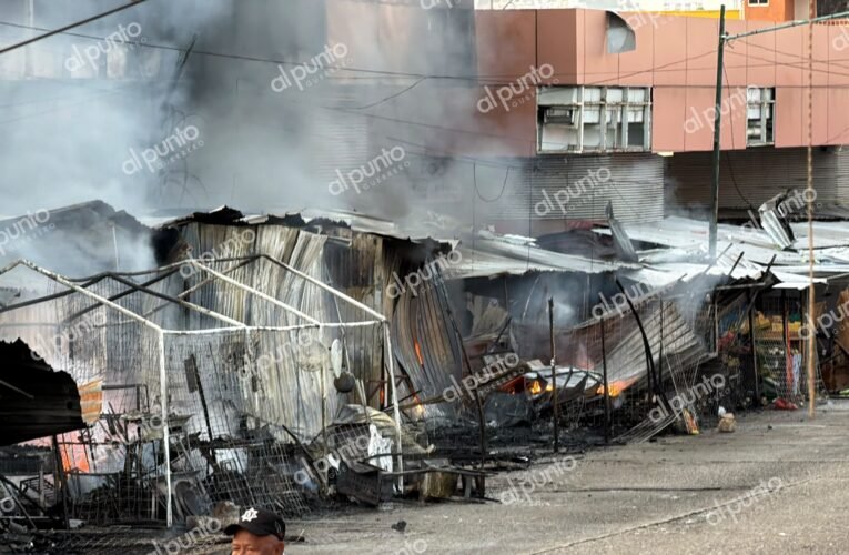 Incendio consume 90 locales en el Mercado Central de Acapulco