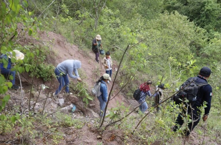 Localizan 10 restos óseos durante jornada de búsqueda en la Montaña de Guerrero