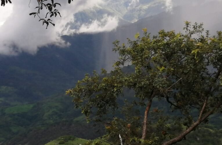 Llaman a organizarse contra despojos de tierras ejidales en la Tierra Caliente