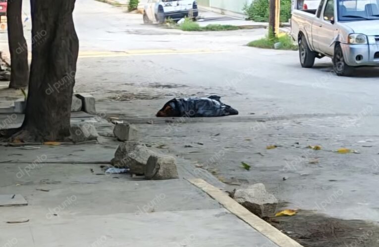 Abandonan restos humanos en bolsas negras en la colonia Emiliano Zapata, en Acapulco